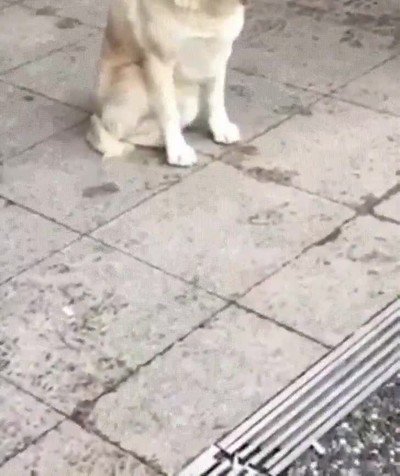 cerrar,ojos,clase,mates