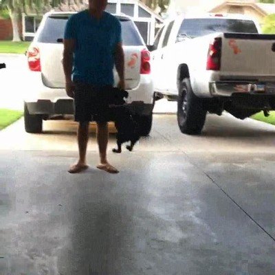 perro,frenar,dibujos,animados