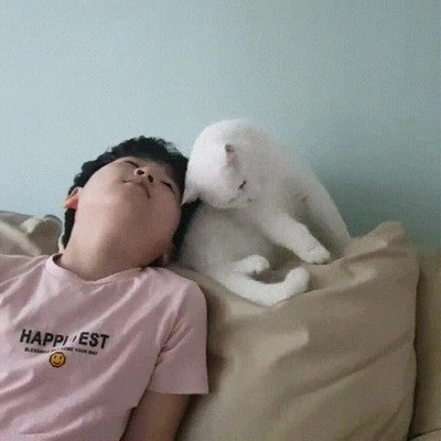 Enlace a Este gato con su humano representa la amistad verdadera 