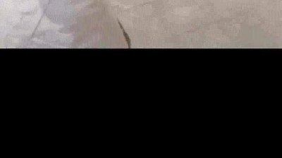 gente,divertir,risas,sombras,calle