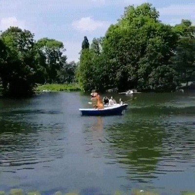 t&iacute;pica,escena,lago,parque,dinosaurio