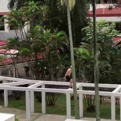 hombre,canguro,otra vida