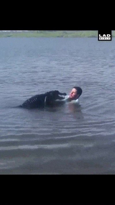 cocodrilo,miedo,abrazo