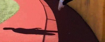 modo,mol&oacute;n,atrapar,pelota