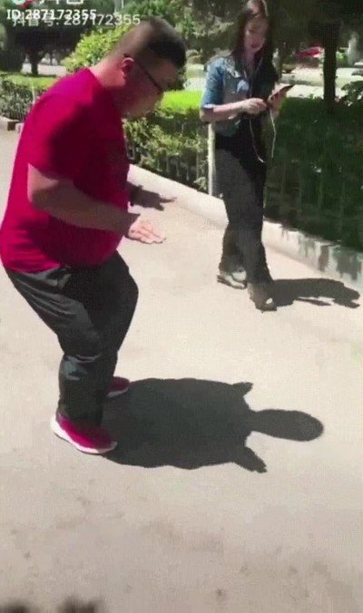 Enlace a Creo que su animal interior es una tortuga