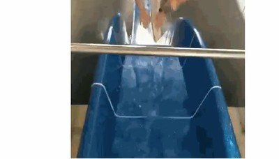 tobogan,piscina,pueblo