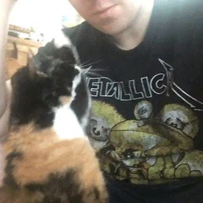 dificil,gato,pedir,atenci&oacute;n,delicada