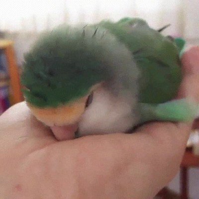 nada,dormir,manos,mama,paharo