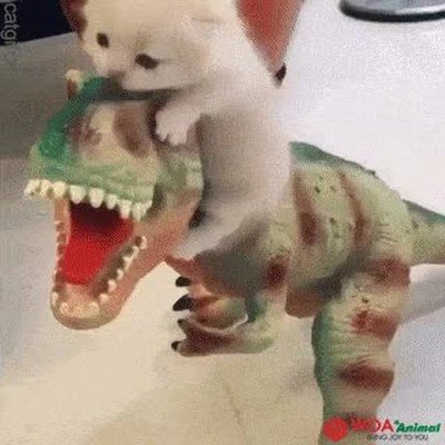 adorable,gatito,encima,dinosaurio
