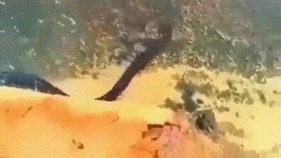 ba&ntilde;o,agua,mal rollo,miedo