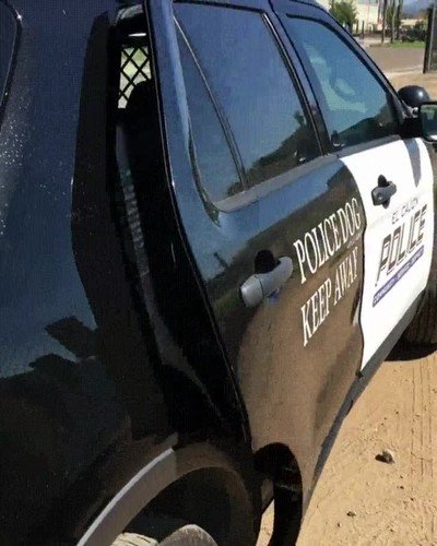 perro,demasiados,capitulos,doraemon