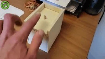 gente,broma,ara&ntilde;a