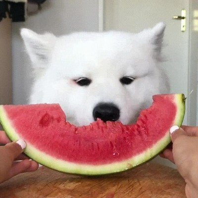 Enlace a La mejor fruta que puedes comer en verano