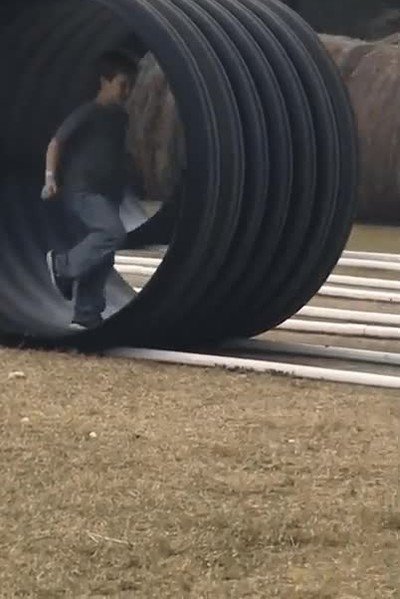 rueda,correr,complejo,hamster