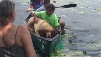 Enlace a Somos un equipo. Si el líder se cae todos lo hacemos 