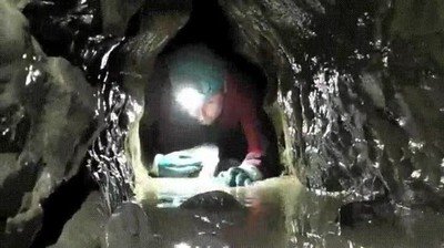 sentir,recien nacido,parto