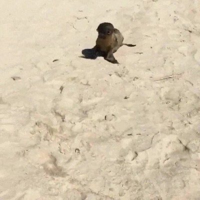 recorrer,camino,obstaculos,hola