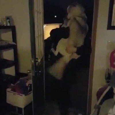 humano,llegar,casa,perro