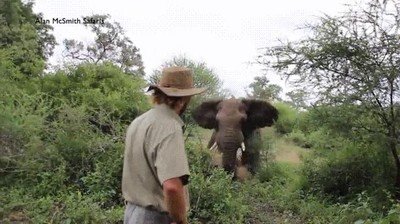 Enlace a La NASA confirma que las agallas de este señor se ven desde el espacio 