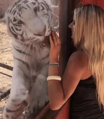 videoconferencia,novia,viaje,cristal,ganas,amor