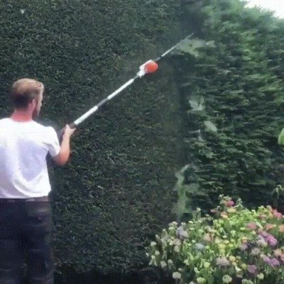 cortar,arbusto,maquina,placentero