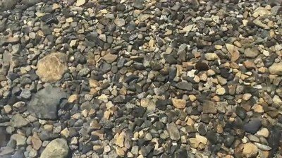 lugar perfecto,vacaciones,california,fallen lake