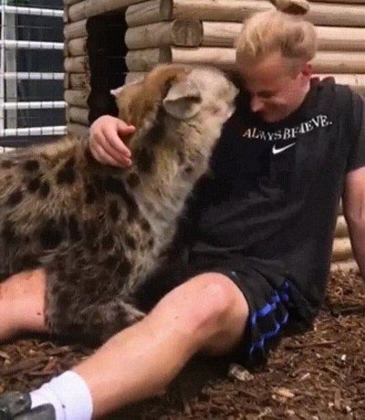 sesi&oacute;n,mimos,caricias