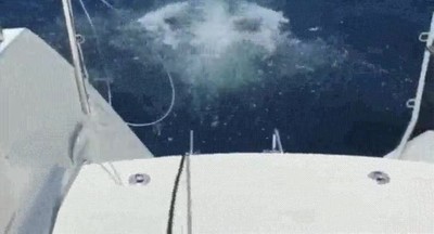 novio,separar,vacaciones,cuerda,atar