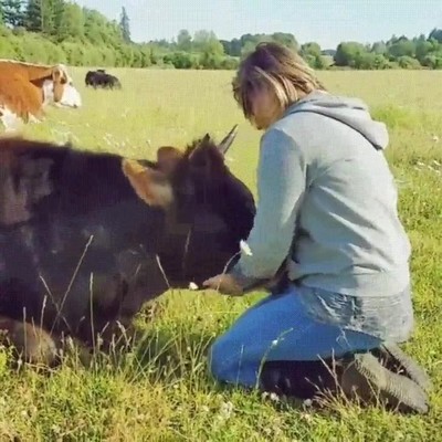 adorable,forma,mover,orejas,atr&aacute;s