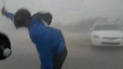 Enlace a Este hombre se ha propuesto luchar contra la madre naturaleza