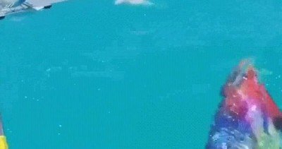 deporte,dinero,verano