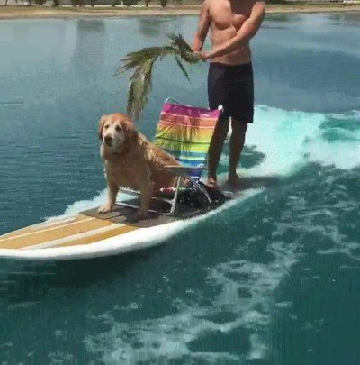 mejor,amigo,hombre,merece