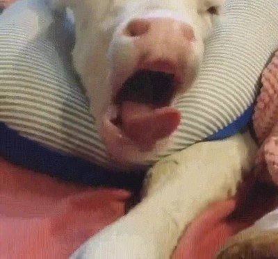 postura,perfecta,dormir