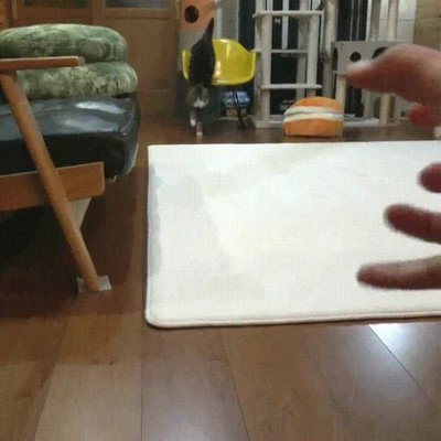 oferta,rechazar,gato