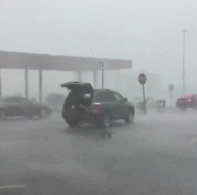 temporal,carrito,compra