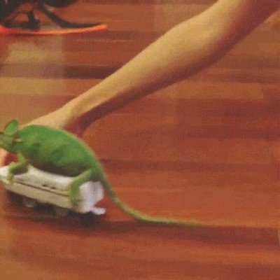 camaleones,ni&ntilde;os,peque&ntilde;os,juguete,cohete