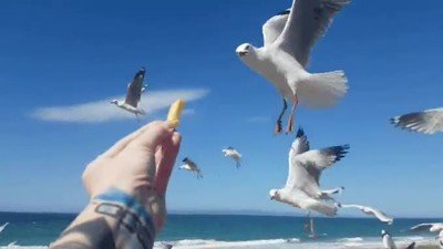 Enlace a Repostando sin aterrizar