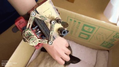 robot,mec&aacute;nico,gato,mirar