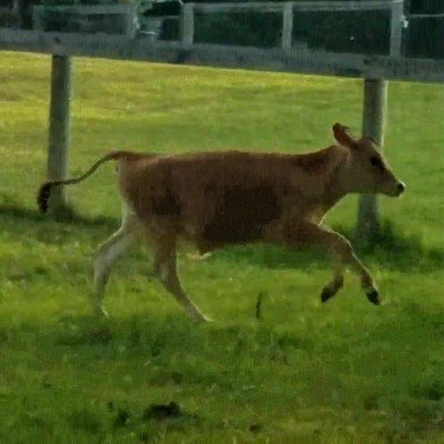 ultimo dia,oficina,vacaciones