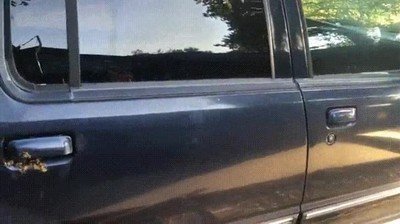 asumir,abejas,puerta,coche,abrir