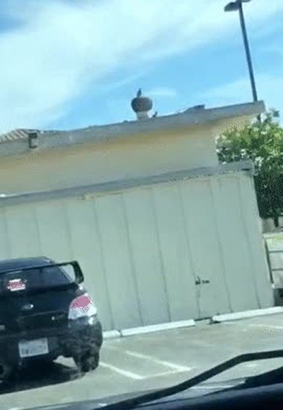 tipico,fin de semana,diversion