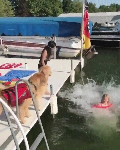 pandilla,ni&ntilde;os,nadar,perros