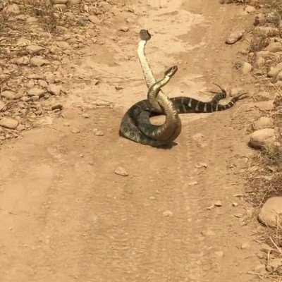 Enlace a Me recuerdan a los encuentros apasionados con mi ex después de pelearnos