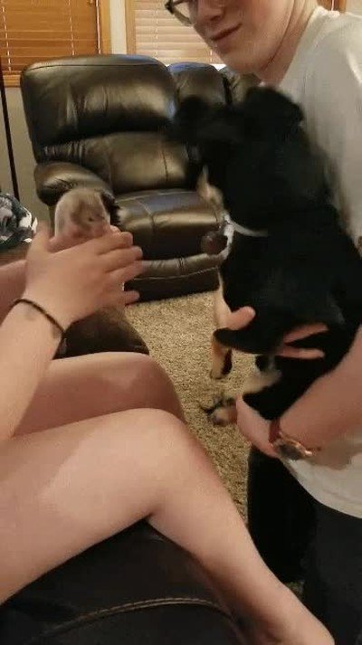 obligar,ni&ntilde;os,peque&ntilde;os,amigos