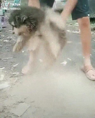 misma,sensaci&oacute;n,limpiar,aspirador