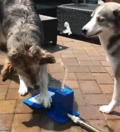 Enlace a Trabajando en equipo puedes lograr cosas increíbles 