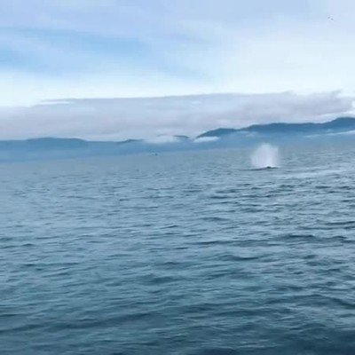 chubasquero,c&aacute;mara,fotos