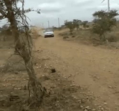 heridas,peores,carrera,coche