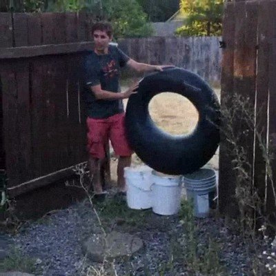 perro,pillar,logica,ejercicio