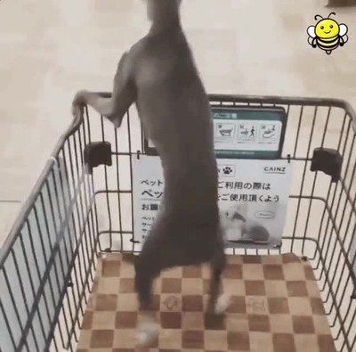 Enlace a Así me sentía cuando mis padres me llevaban de compras al super cuando era pequeño